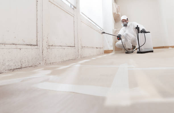 24/7 Emergency Mold Removal experts in Clinton, TN