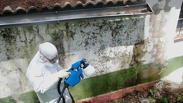 Top rated local Mold Removal specialists in Clinton, TN